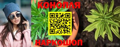 гидра Бузулук