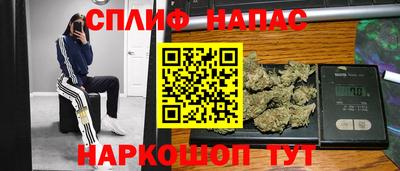 гидра Бузулук