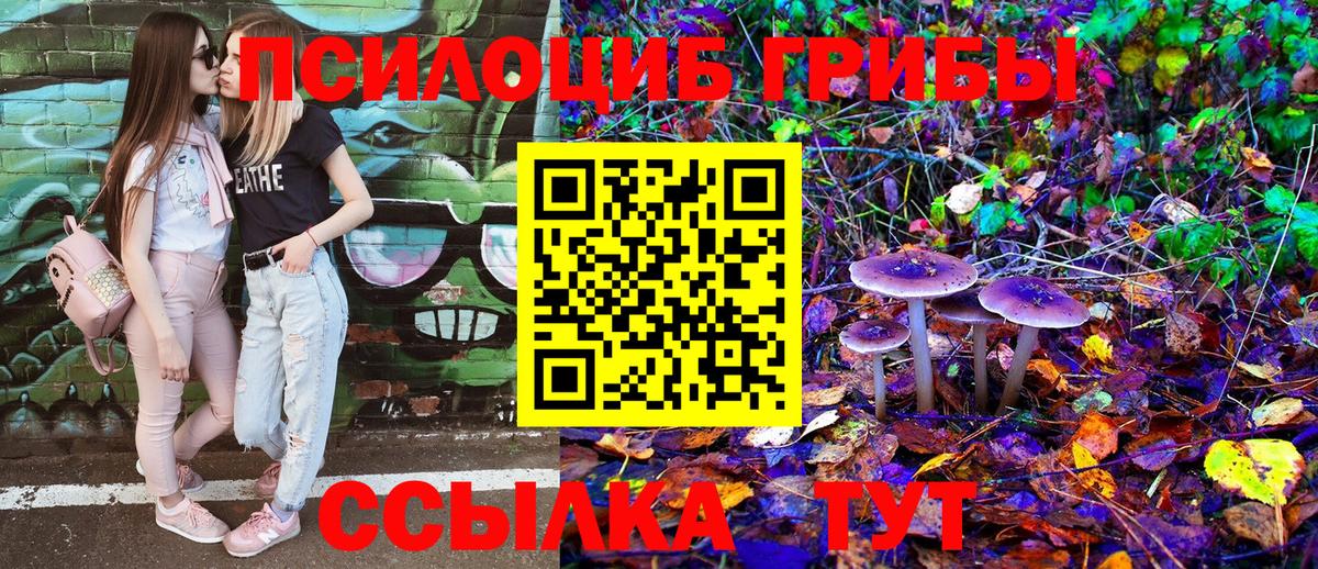 Псилоцибиновые грибы Psilocybe  Вход с VPN  Североморск 