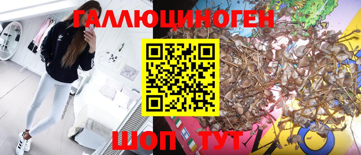 Галлюциногенные грибы MAGIC MUSHROOMS Североморск